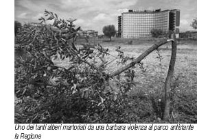 Uno-dei-tanti-alberi-martoriati-da-una-barbara-violenza-al-parco-antistante-la-Regione