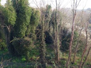 tor marancia prima degli interventi