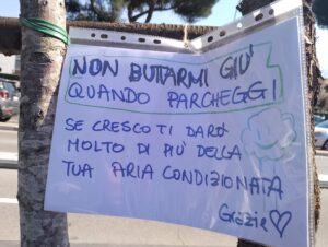 lecci in via ostiense