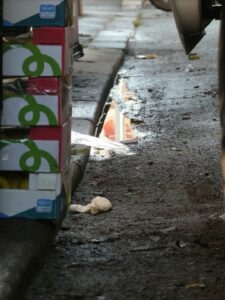 via ostiense (Sofia)