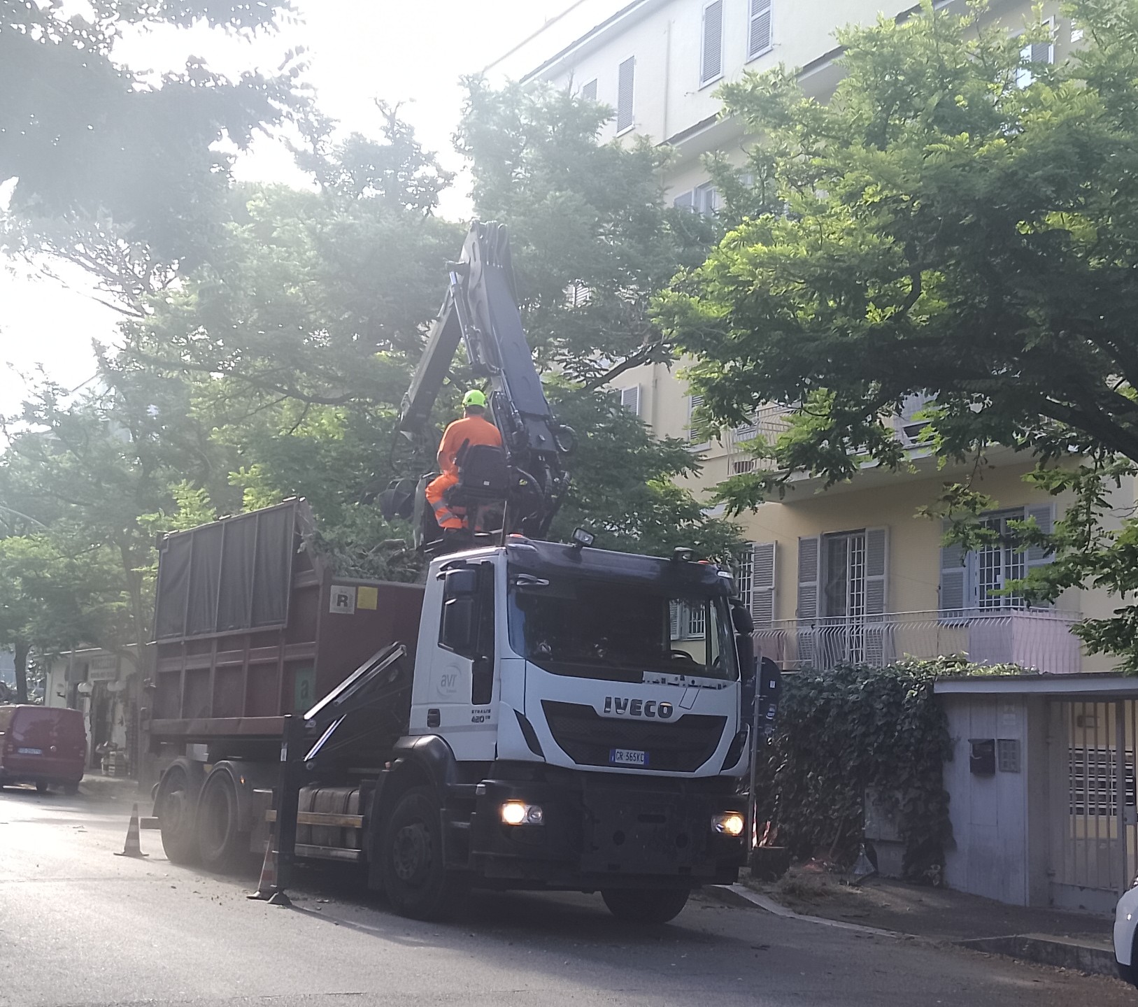 Alberi di via Meropia: i tagli violano il regolamento